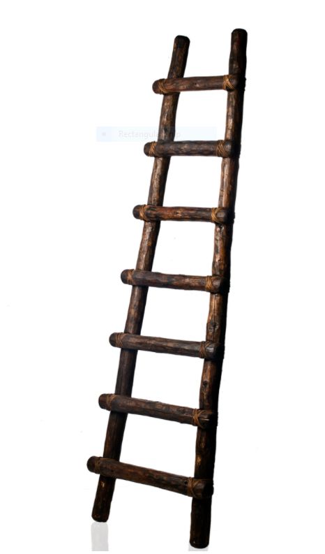 Ladders